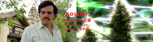 мяу мяу кристалл Сясьстрой